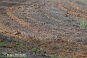 VBS_7634 - Andare lontano, oltre i campi da arare... e ancora più in là
